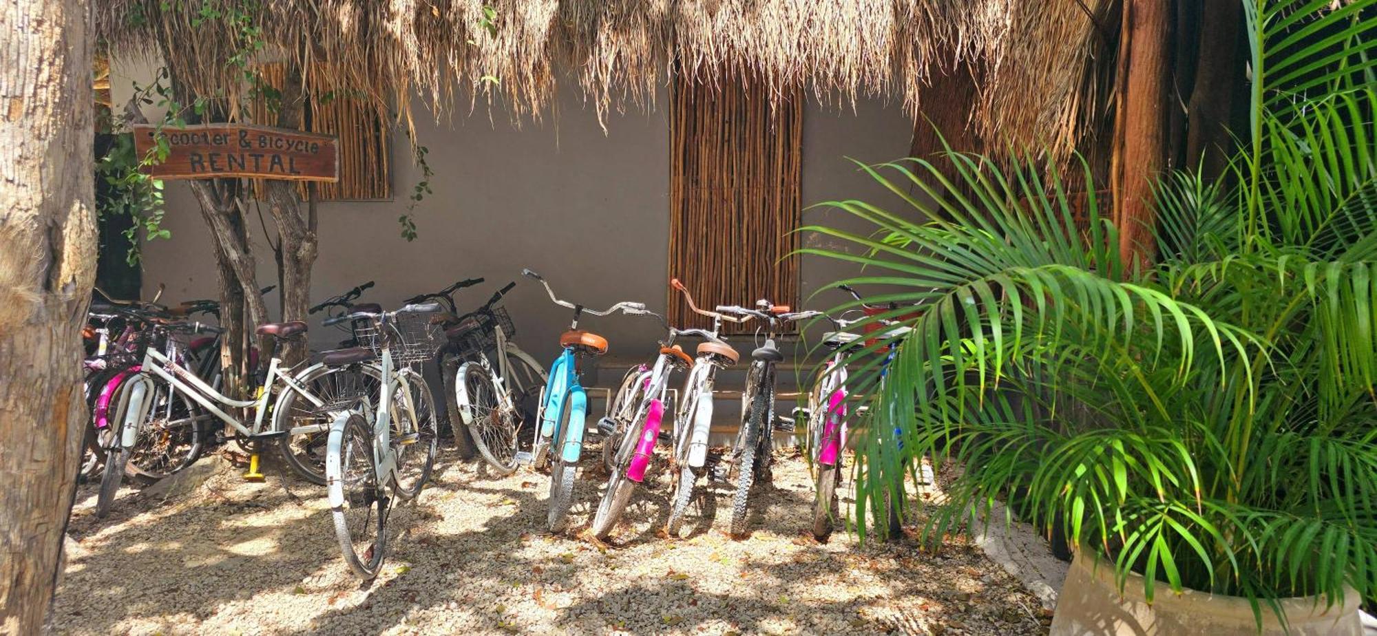 Casa Lam Jungle Deluxe Hotel Tulum Bagian luar foto
